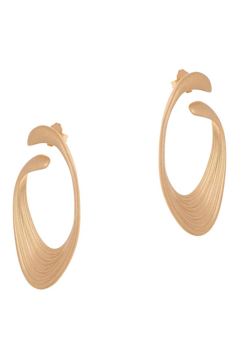 Birdie Brushed Twist Loop Earrings, Main, color, GOLD TONE