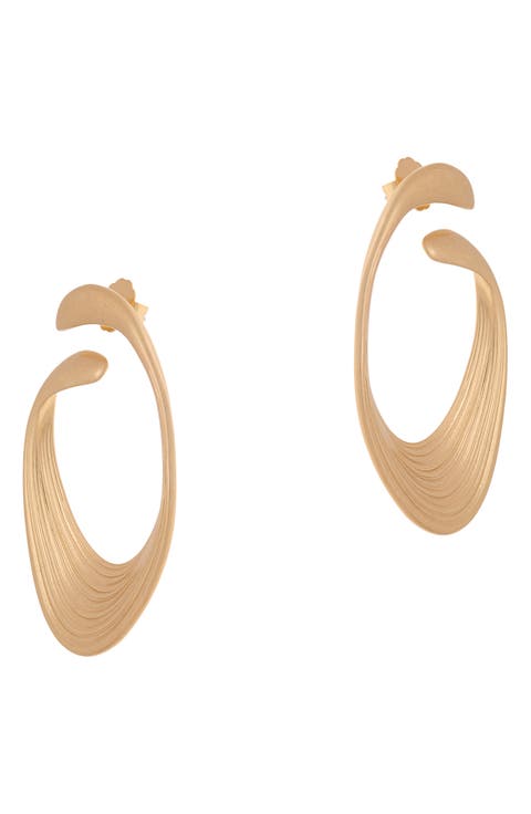 Birdie Brushed Twist Loop Earrings