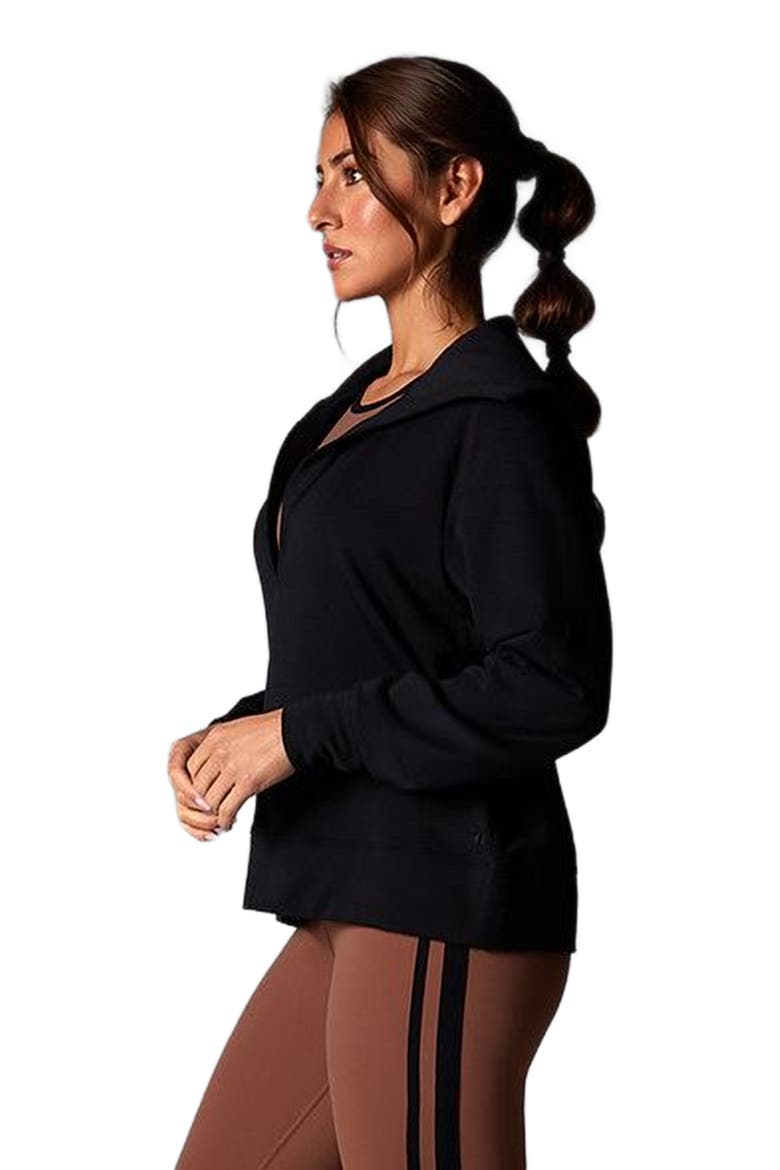 Cozy Collared Sweatshirt, Alternate, color, EBONY