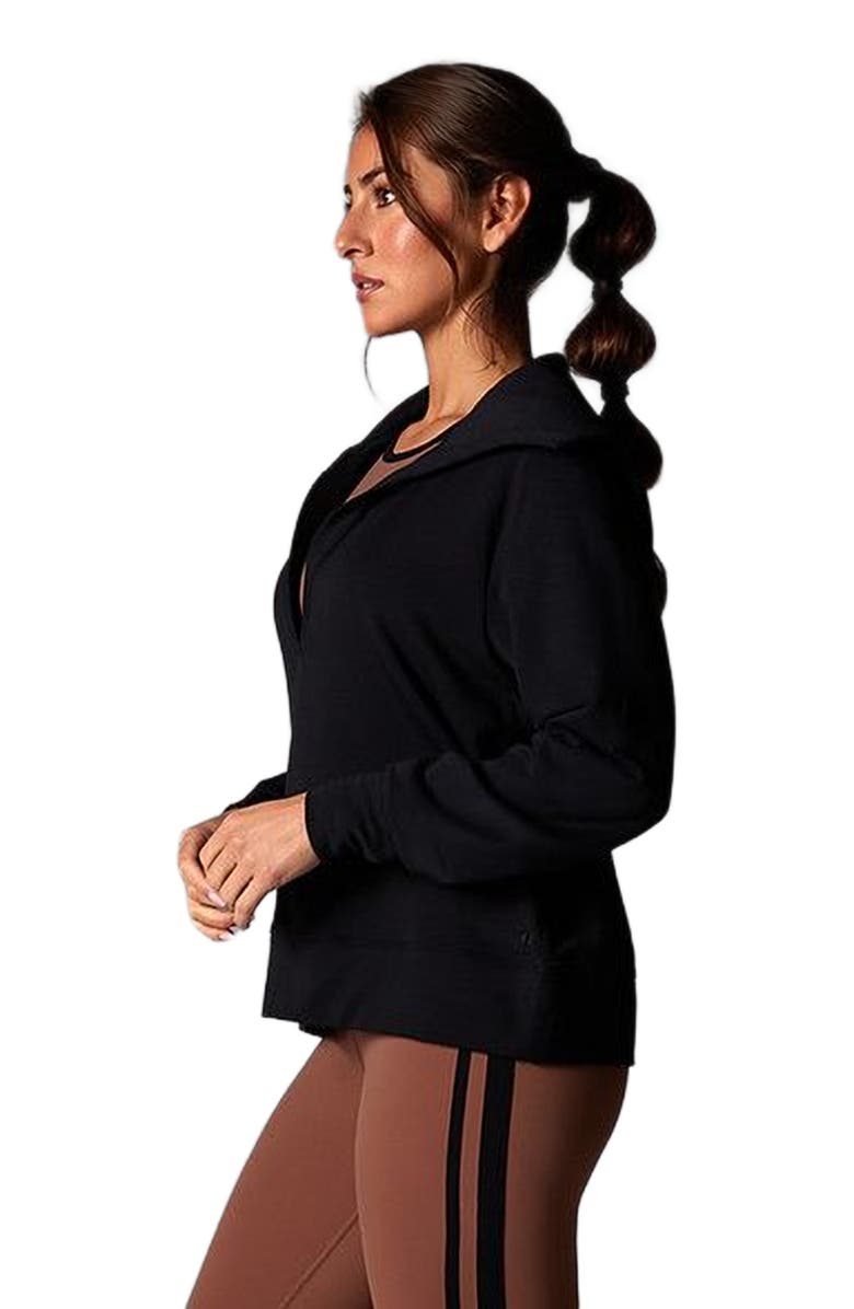 Tavi Cozy Collared Sweatshirt, Alternate, color, Ebony