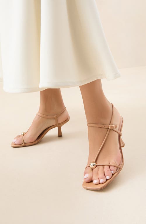 Loeffler Randall Triana Strappy Mid Heel Sandals With Ball Dune In Dune