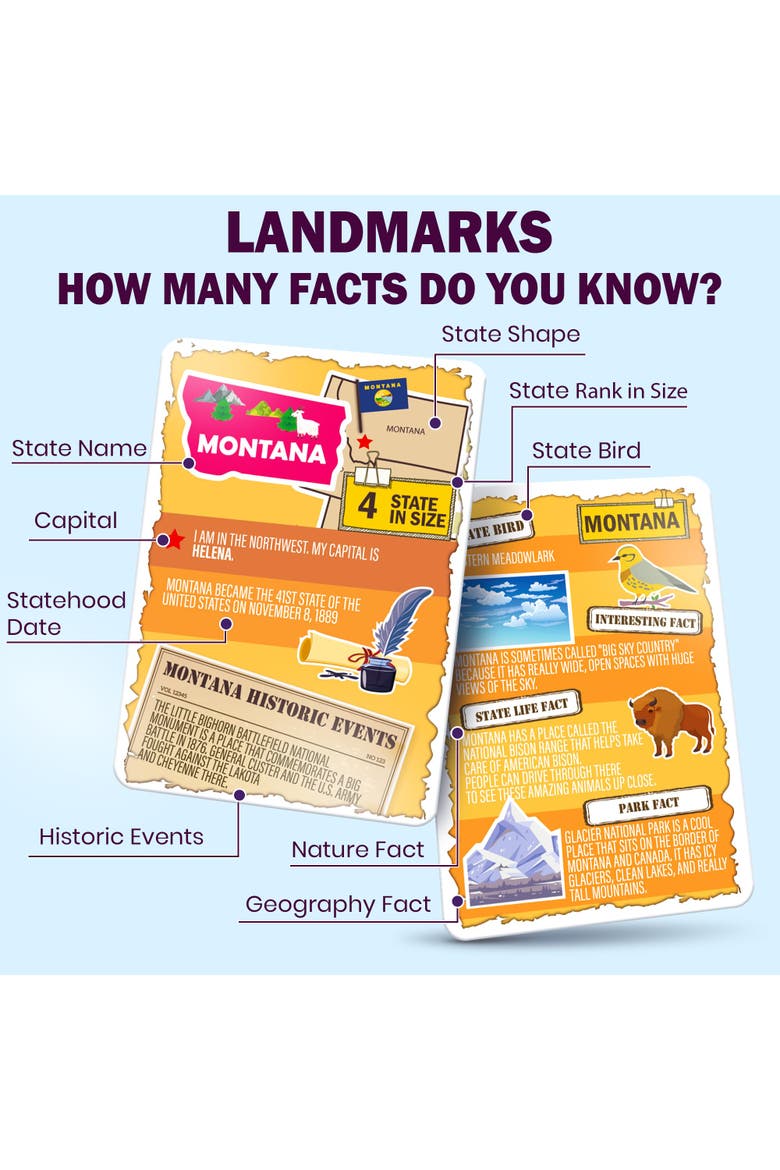 World Flags & Geography Flash Cards for Kids, Teens & Families, Alternate, color, Flags Set 338