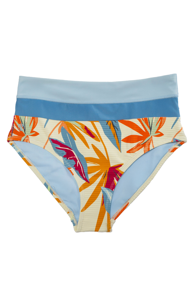 Nani Colorblock Swim Bottom, Alternate, color, Eden