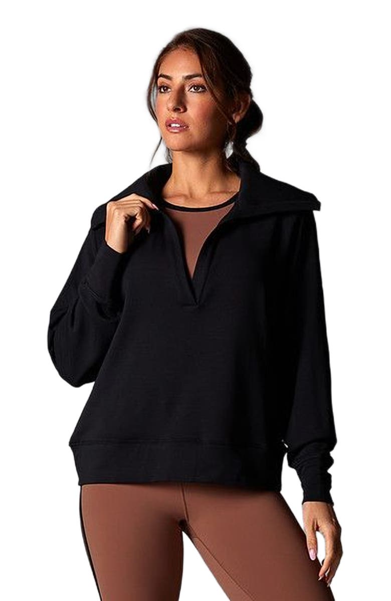 Tavi Cozy Collared Sweatshirt, Alternate, color, Ebony