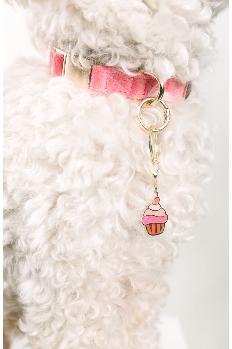 Cupcake Pet Collar Charm, Alternate, color, Cupcake