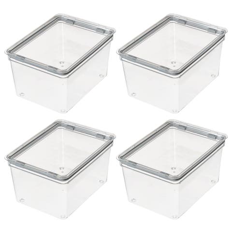 Large Food Storage Bin with Airtight Lid - Set of 4 - Clear