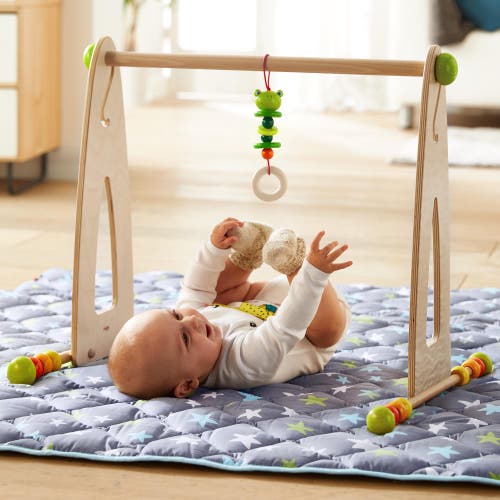 Haba Color Fun Play Gym