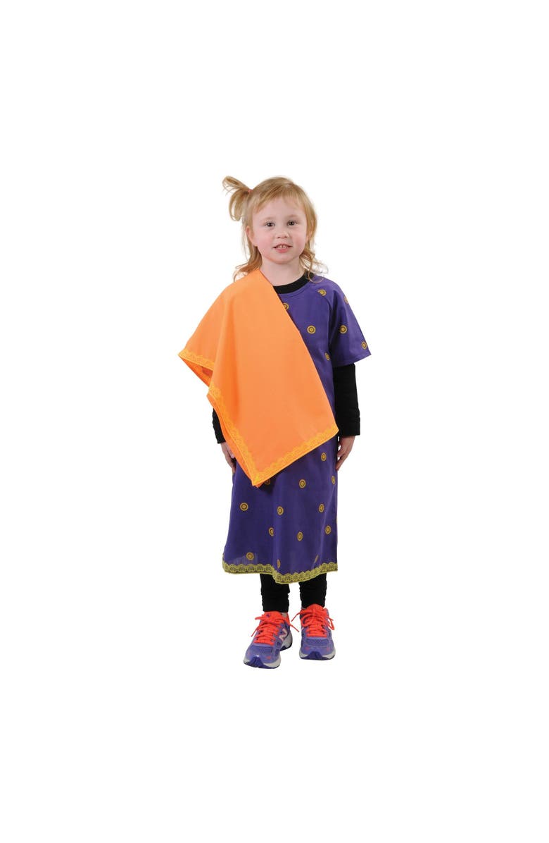 Kaplan Early Learning Company Festive Multiethnic Indian-Inspired Sari Girl Garment, Alternate, color, Purple