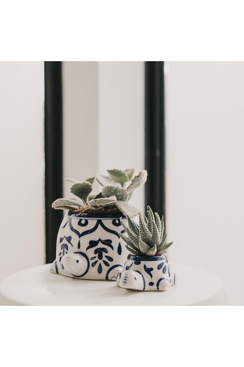 Lalita Mama Turtle Succulent Planter, Alternate, color, Multicolor