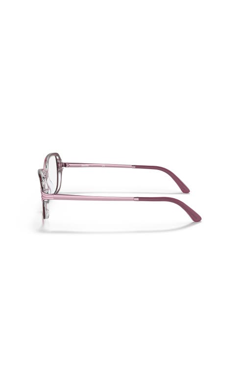 Sferoflex 54mm Butterfly Optical Glasses In Brown