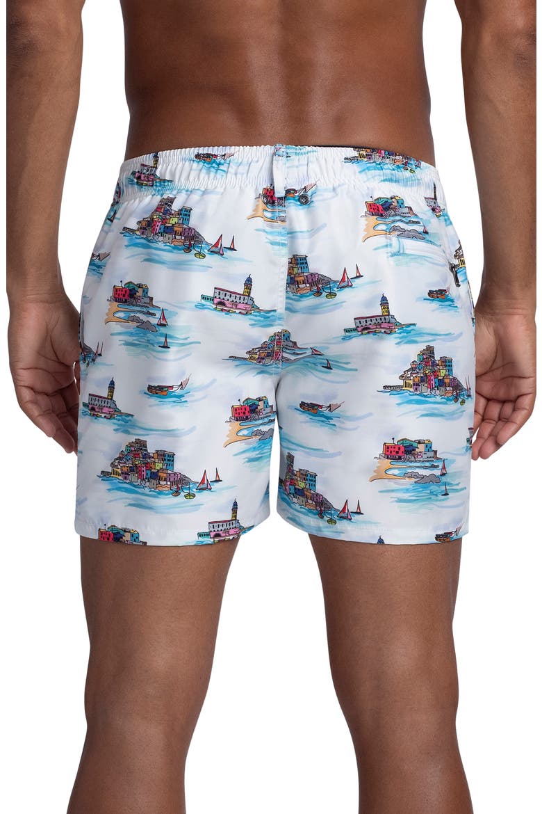 Ocean Scene Swim Trunks, Alternate, color, WHITE
