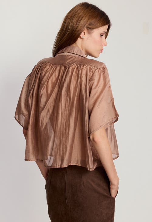 The Shirt By Rochelle Behrens The Hayden Shirt In Brown