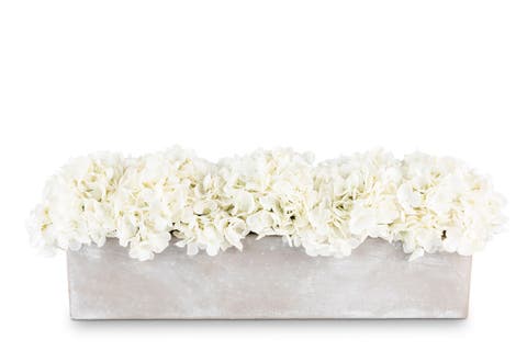 Bellamy Hydrangea Arrangement