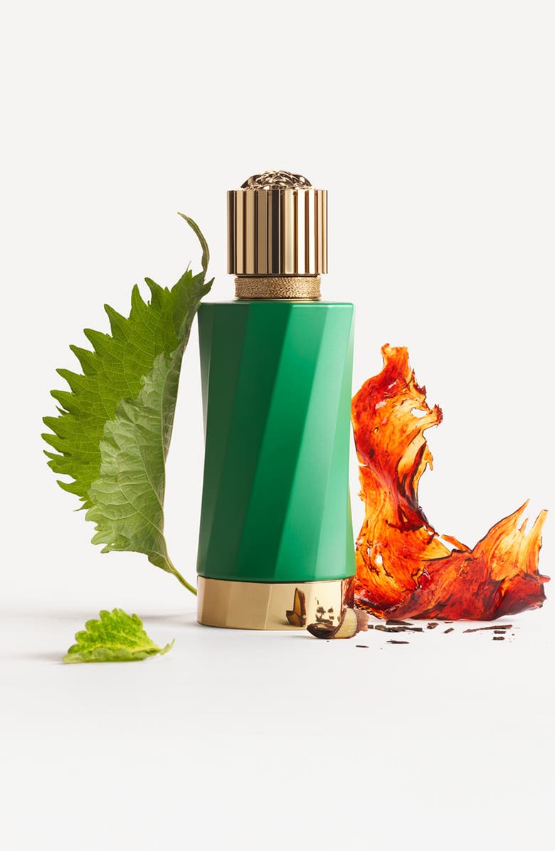 Versace Atelier Versace Patchouli Précieux Eau de Parfum, Alternate, color,