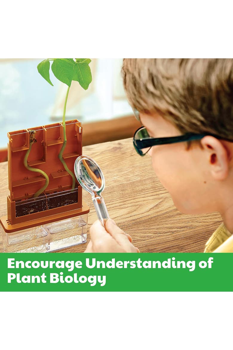 Green Science Grow A Maze, DIY Mini Plant Growth Lab, Kids 5+, Alternate, color, Multicolored