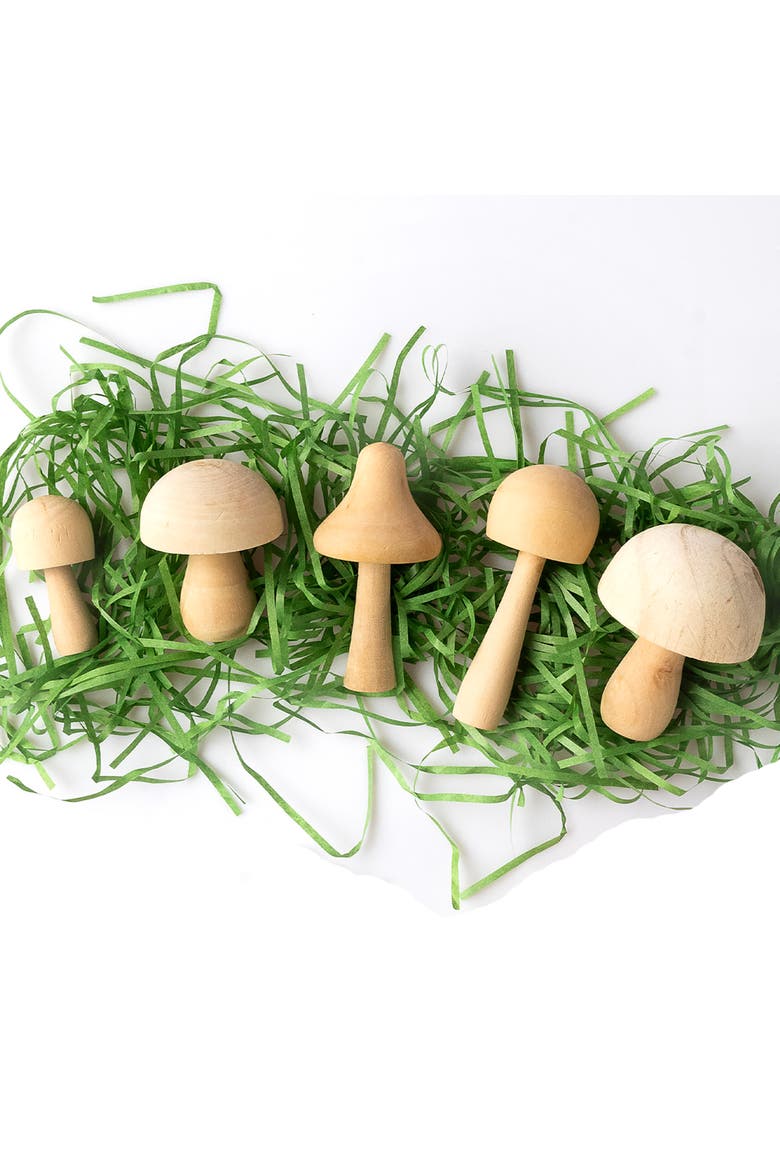 Paint Your Own Wooden Mushrooms, DIY Craft Kit, Kids 6+, Alternate, color, Multicolored