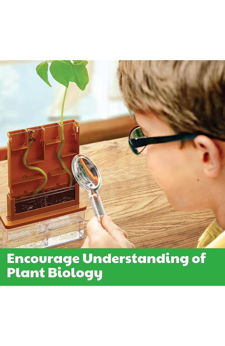 4M Green Science Grow A Maze, DIY Mini Plant Growth Lab, Kids 5+, Alternate, color, Multicolored
