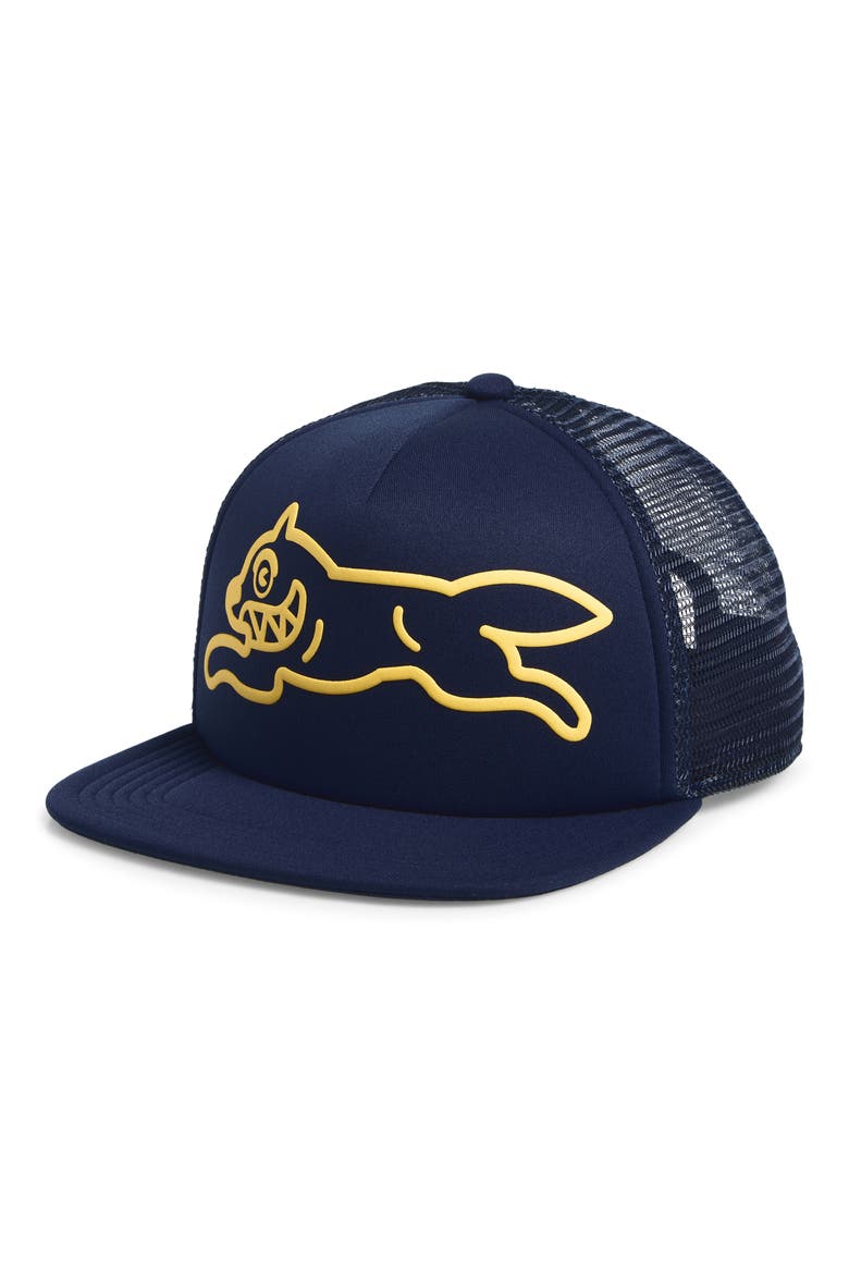 Hoops Trucker Baseball Cap, Main, color, PATRIOT BLUE