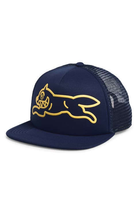 Hoops Trucker Baseball Cap