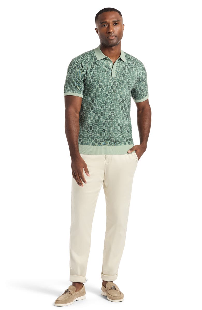 Robert Graham Johnny Collar Cotton Knit Polo, Alternate, color, Sage