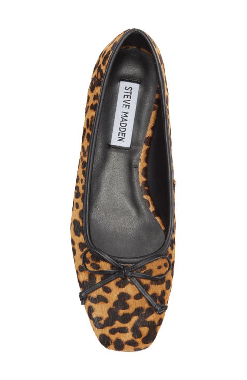 Steve Madden Malinda Genuine Cow Hair Ballet Flat