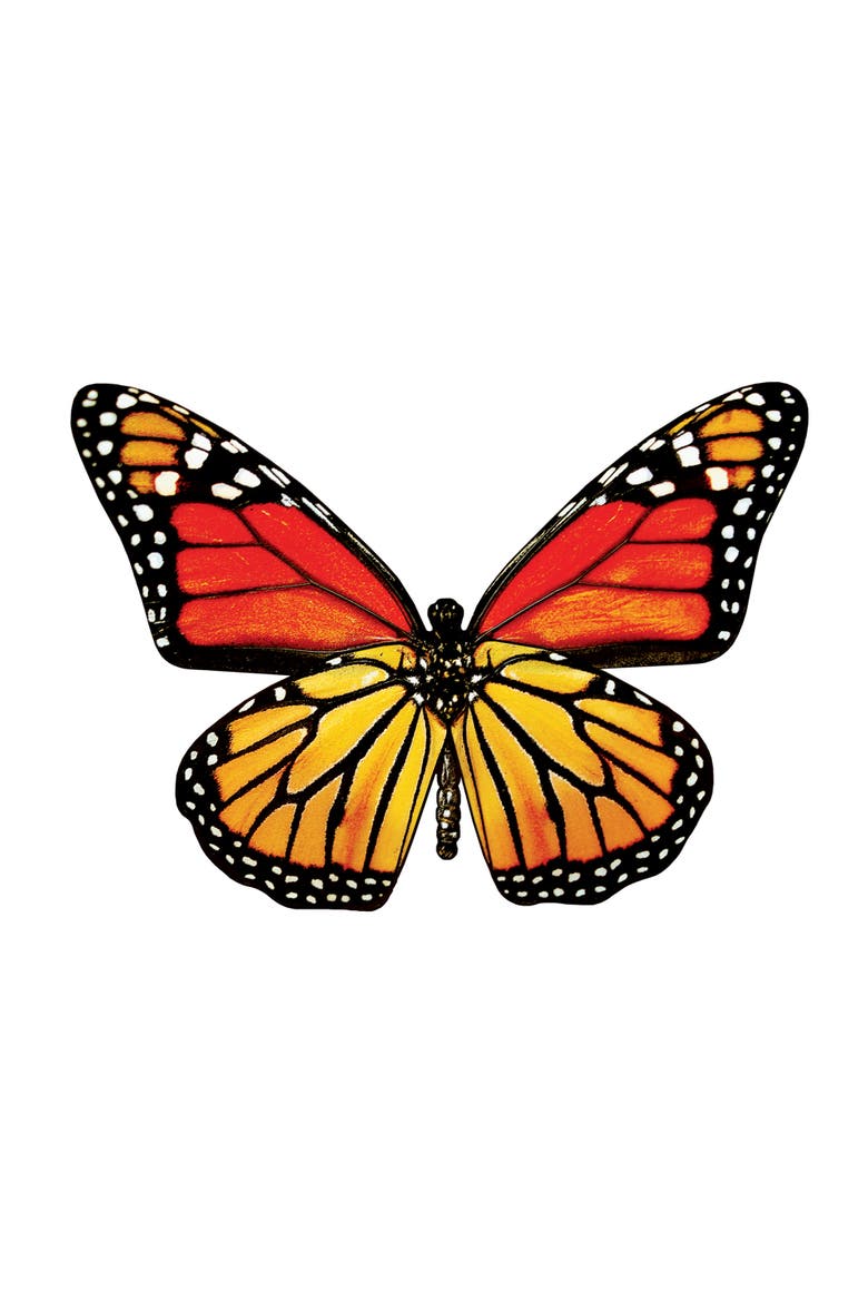 Butterfly 100 Piece Shaped Puzzle, Alternate, color, Multicolor