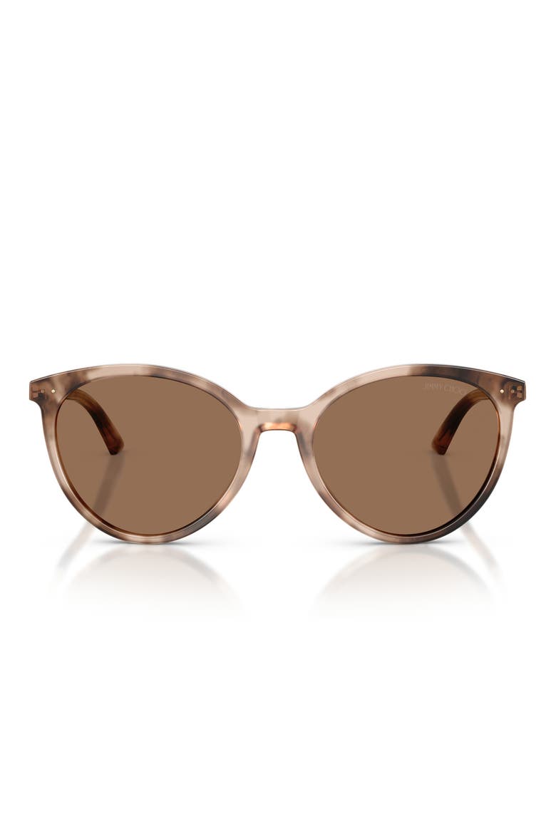 53mm Phantos Sunglasses, Main, color, CHAI HAVANA / DARK BROWN