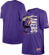 New Era Men's New Era  Purple Los Angeles Lakers Distressed Throwback Vintage Color Pack T-Shirt