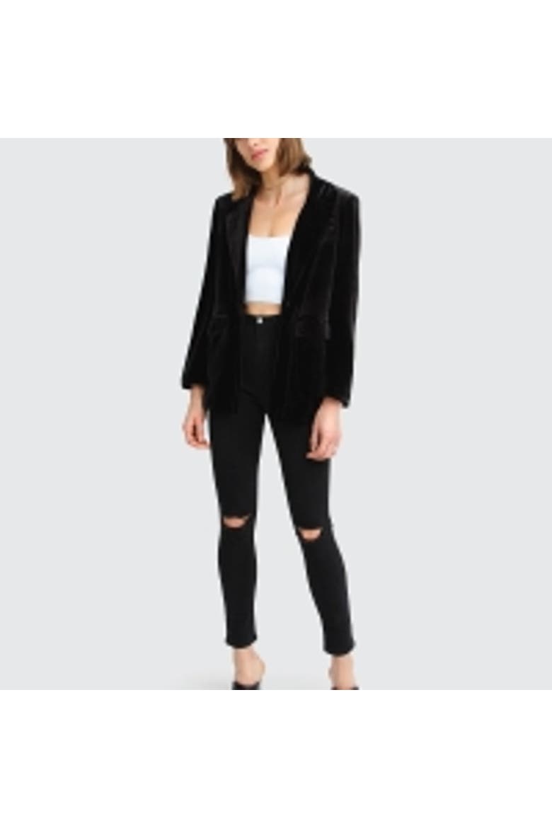 Eternity Velvet Blazer, Alternate, color, Black