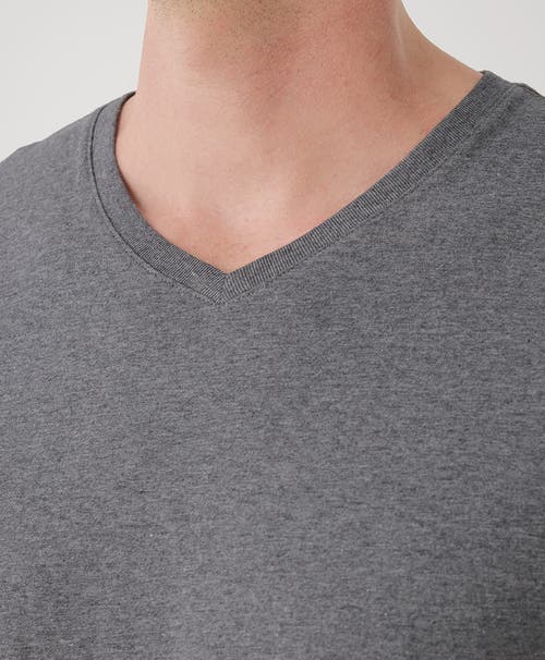 Pact Organic Softspun V-neck Tee