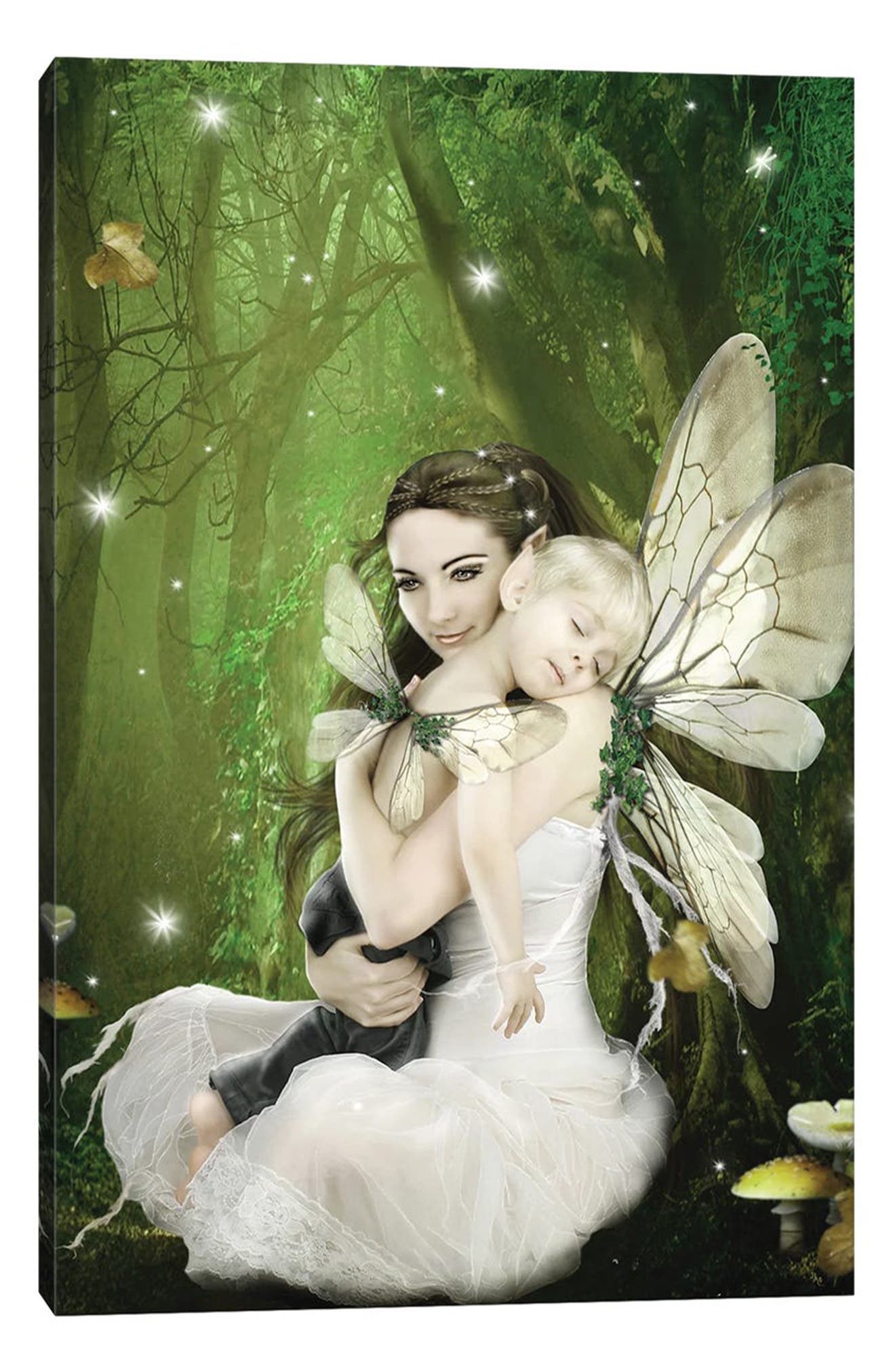 iCanvas Fairy XLIX Canvas Art by Babette Van den Ber, 40