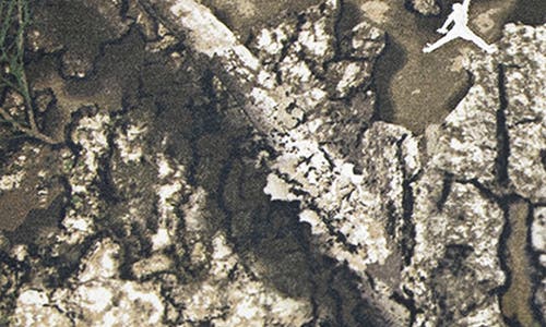 Jordan Kids' X Realtree Mj Mvp Fleece Hoodie & Joggers Set In Green