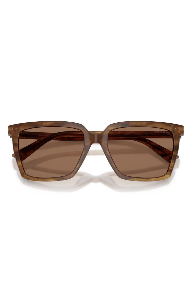 Jimmy Choo 55mm Square Sunglasses, Main, color, Brown Havana / Dark Brown