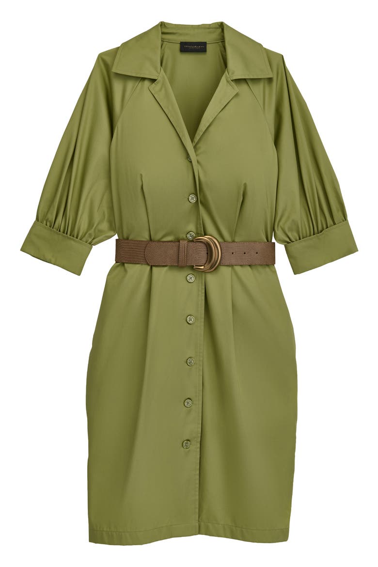 Belted Shirtdress, Alternate, color, KIWI