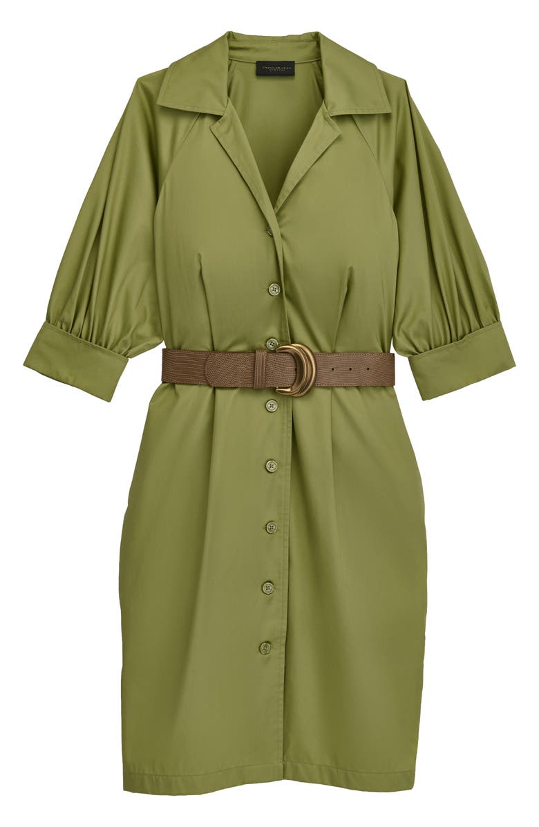 Donna Karan New York Belted Shirtdress, Alternate, color, Kiwi