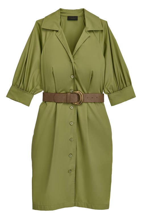 Donna Karan New York Belted Shirtdress