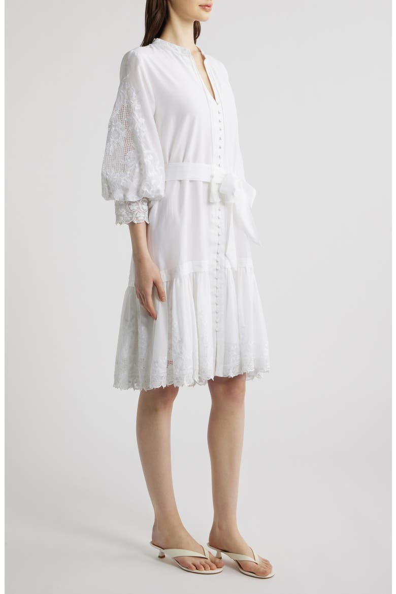 Erica Embroidered Detail Long Sleeve Cotton & Silk Dress, Alternate, color, WHITE