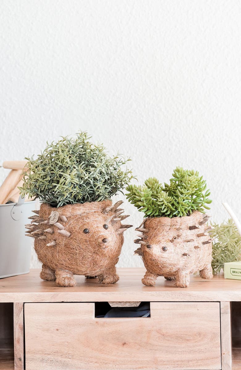 LIKHA Hedgehog Handwoven Planter, Alternate, color, Brown