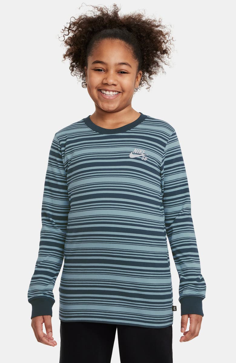 Nike Kids' SB Stripe Long Sleeve Cotton T-Shirt, Main, color, 