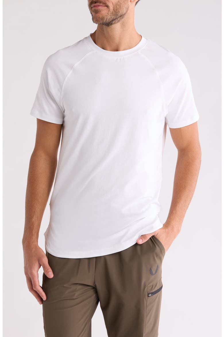 Established T-Shirt, Main, color, WHITE