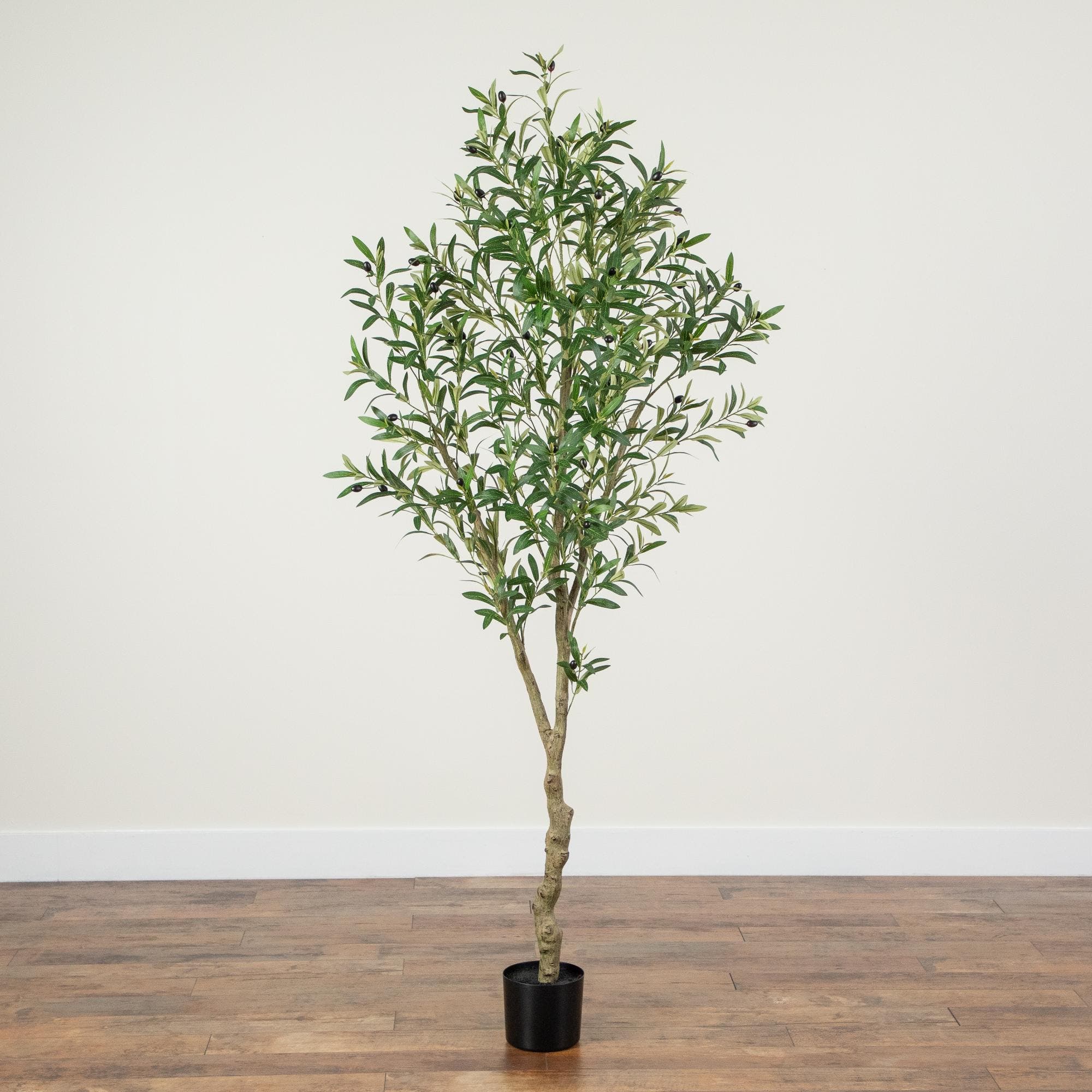 NEARLY NATURAL 80-in Artificial Airy Olive Tree | Nordstrom