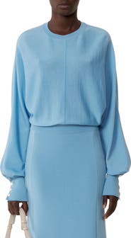 Lanvin Buttoned Long Skirt In Merino Wool