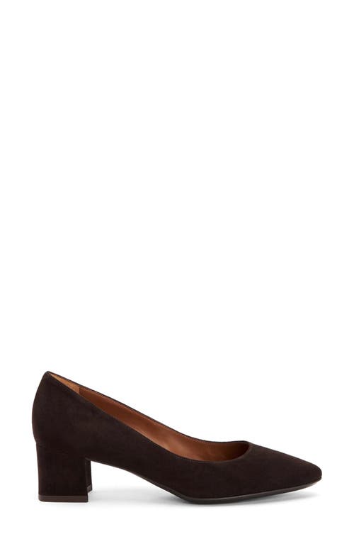 Aquatalia Pasha Pointed Toe Pump In Espresso Suede