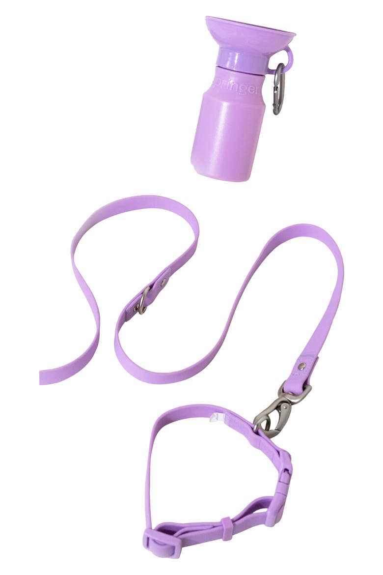 Dog Leash & 15 oz. Water Bottle Set, Main, color, LILAC