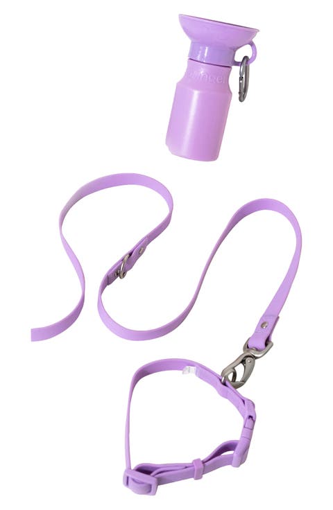 Dog Leash & 15 oz. Water Bottle Set