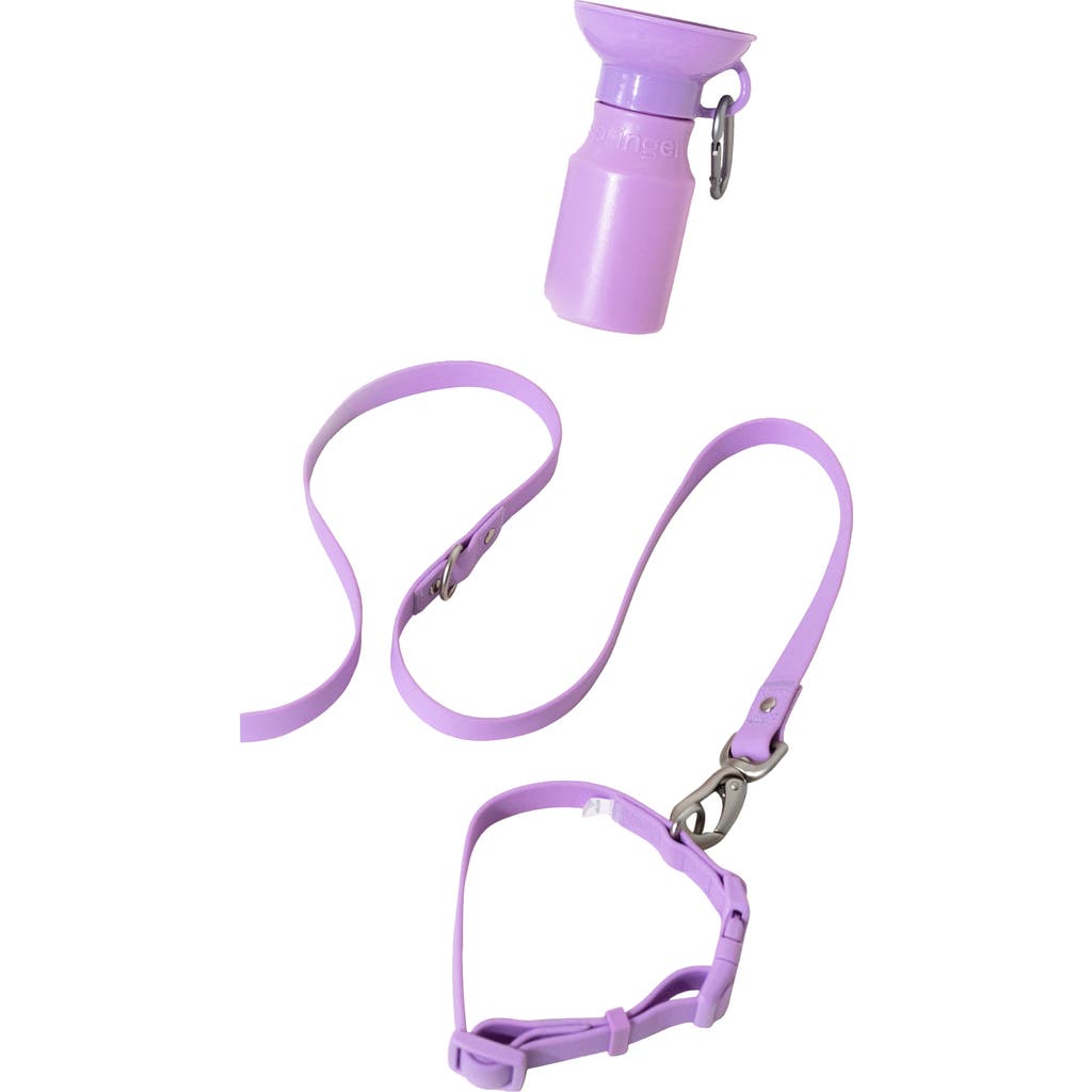 Springer Dog Leash & 15 oz. Water Bottle Set in Lilac  product