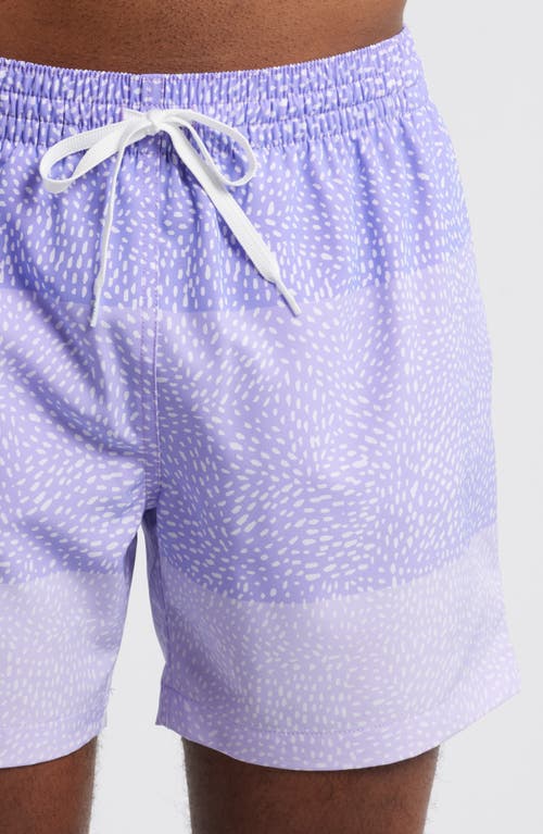 Chubbies The Gem Whale Sharks Classic 5.5-inch Swim Trunks In Bright Purple