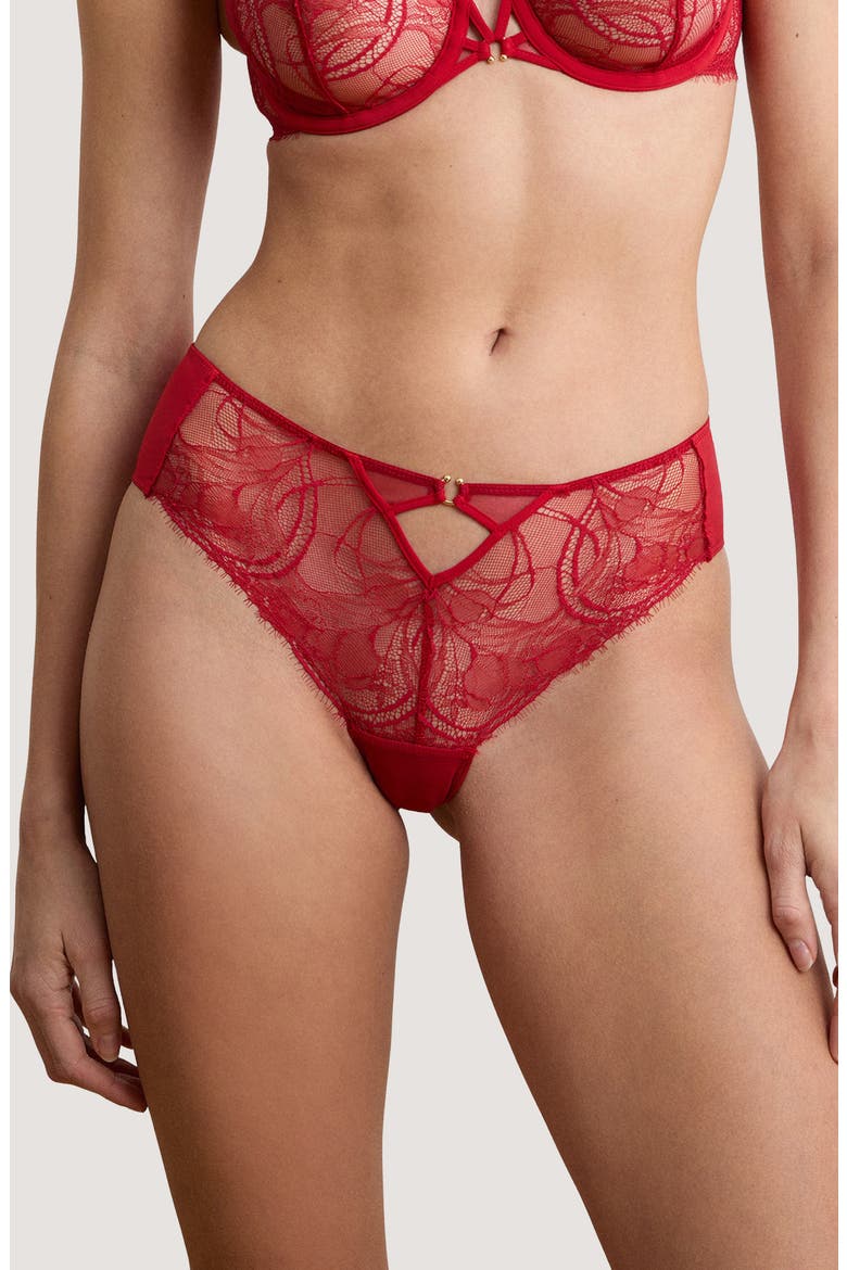 Vertige Rouge Eyelash Lace Panties, Main, color, RED