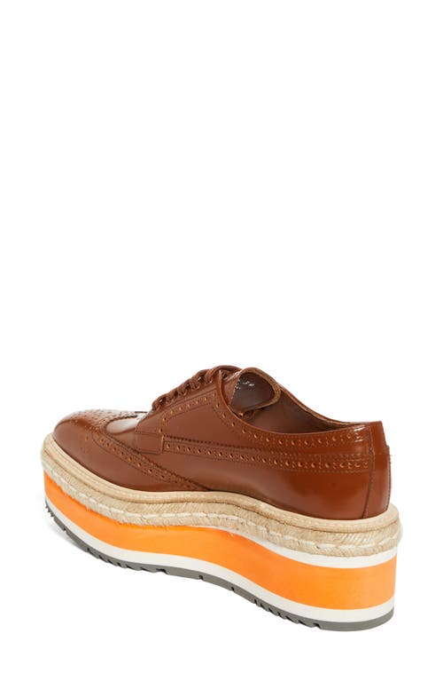 Prada Spazzolato Re-edition Platform Wingtip Loafers In Tabacco