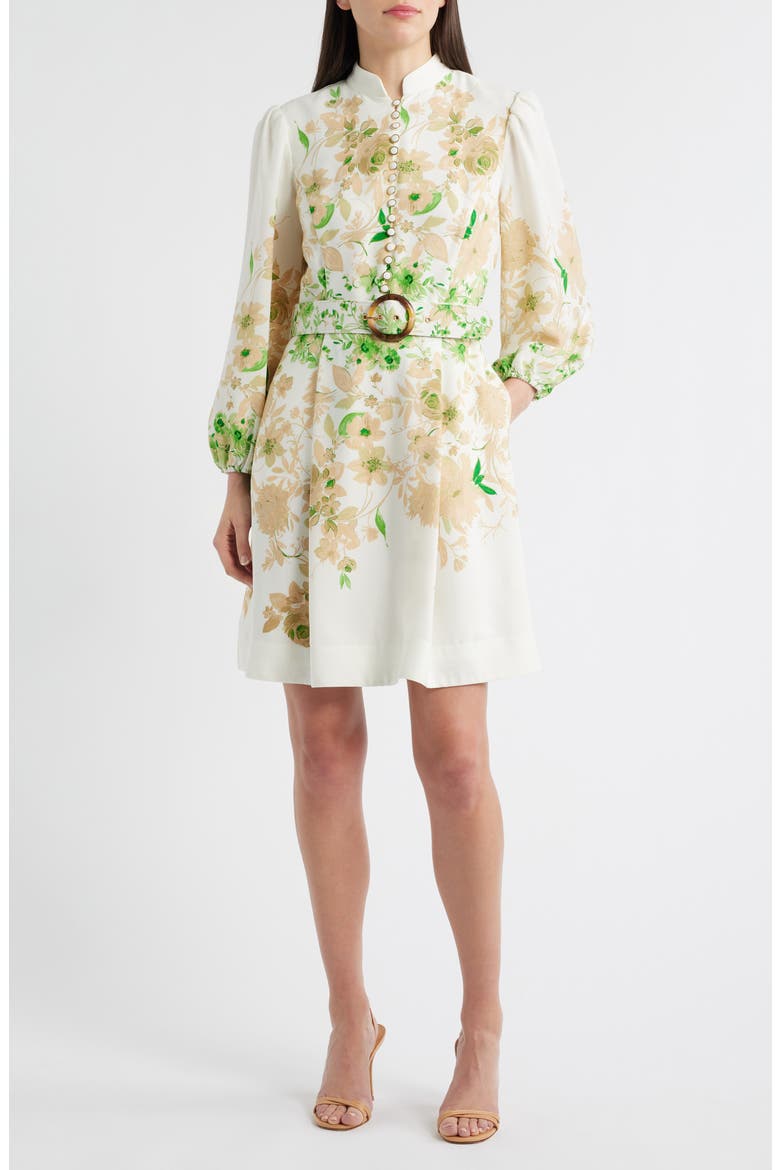 Border Print Belted Long Sleeve Dress, Main, color, IVORY FERN